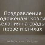 Поздравления молодожёнам: красивые пожелания на свадьбу в прозе и стихах